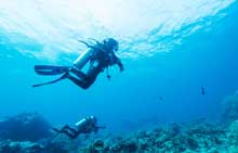 plongeur-sous-marin-conseil-voyageur-sortie-plongée-sous-marine