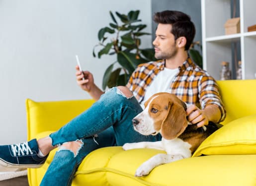 homme assis utilisant son téléphone sur son canapé jaune avec son chien Europ Assistance